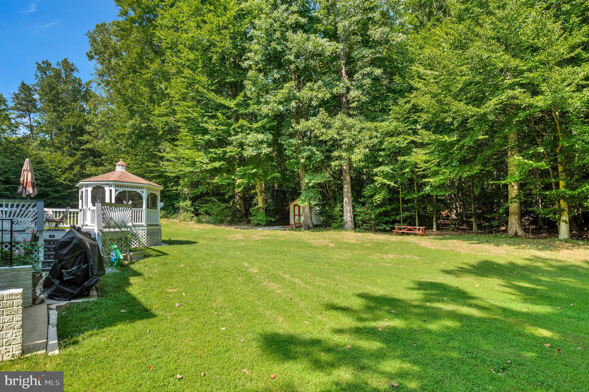 12259 Charles Lacey Dr