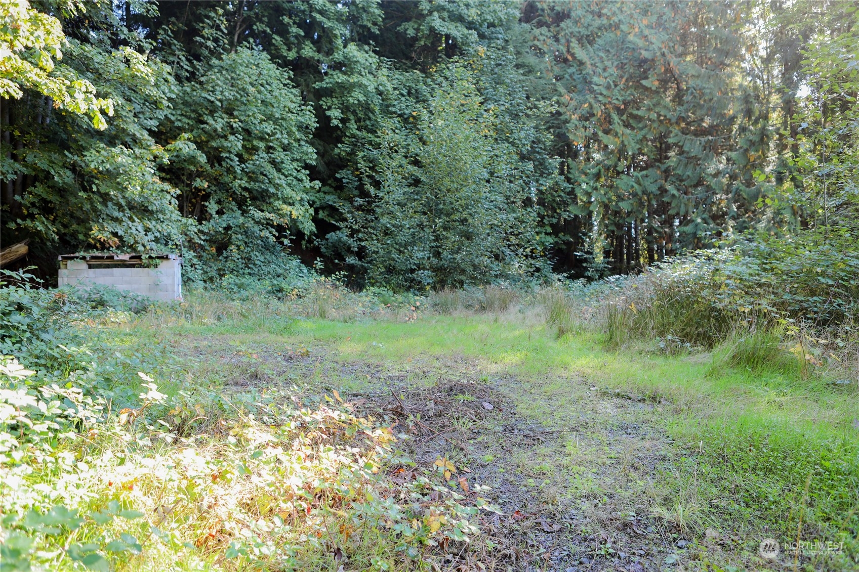 12210 182nd Drive NE