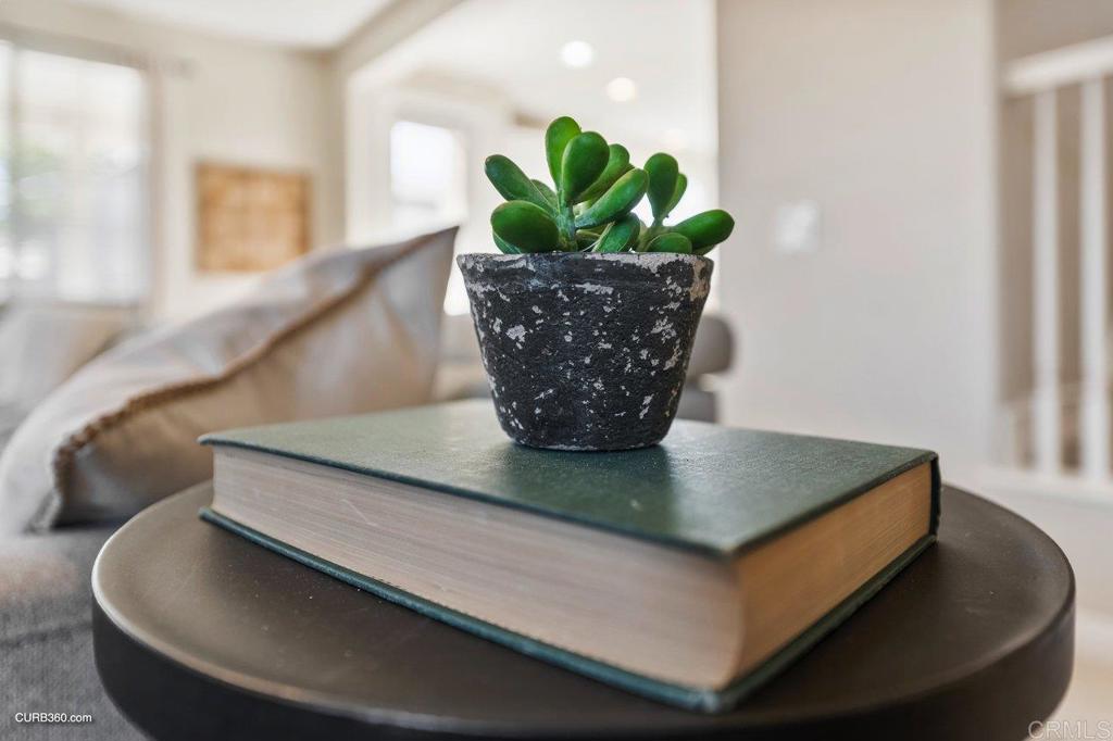 27443 Desert Willow Street