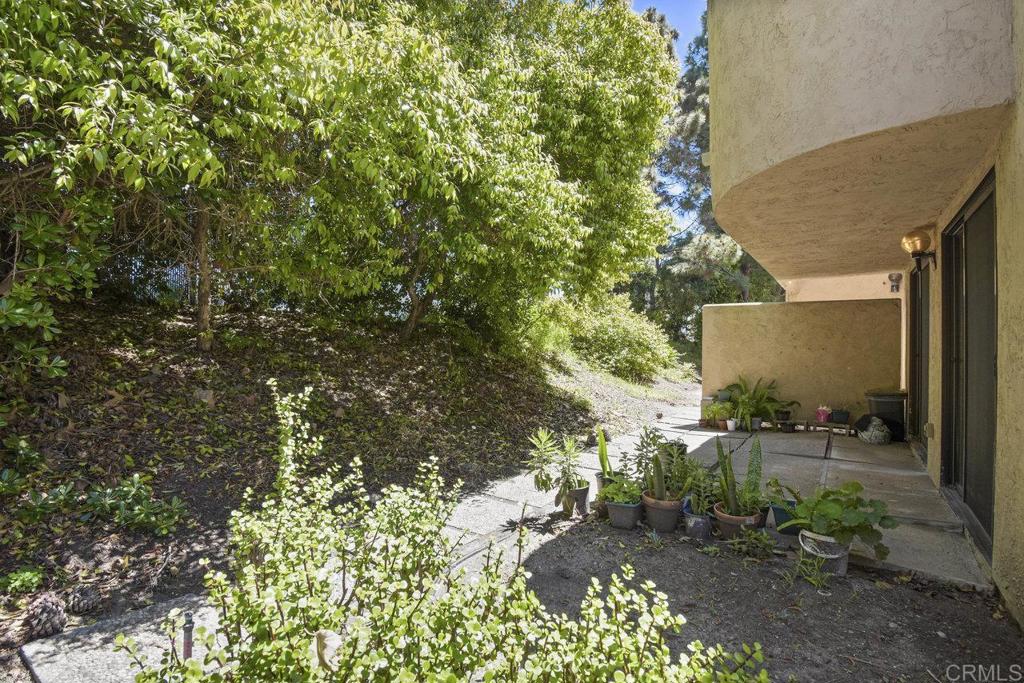 7999 Caminito Dia #3