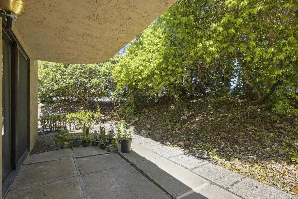 7999 Caminito Dia #3