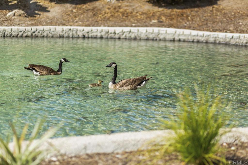 5700 Baltimore Drive 30