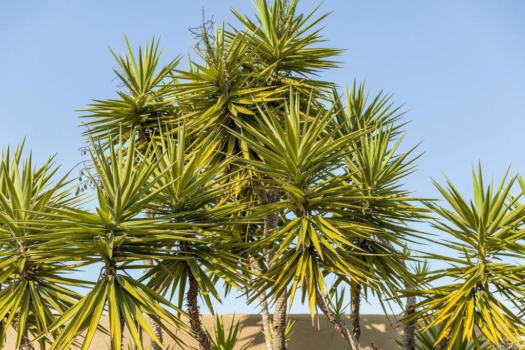 30663 Via Maria Elena