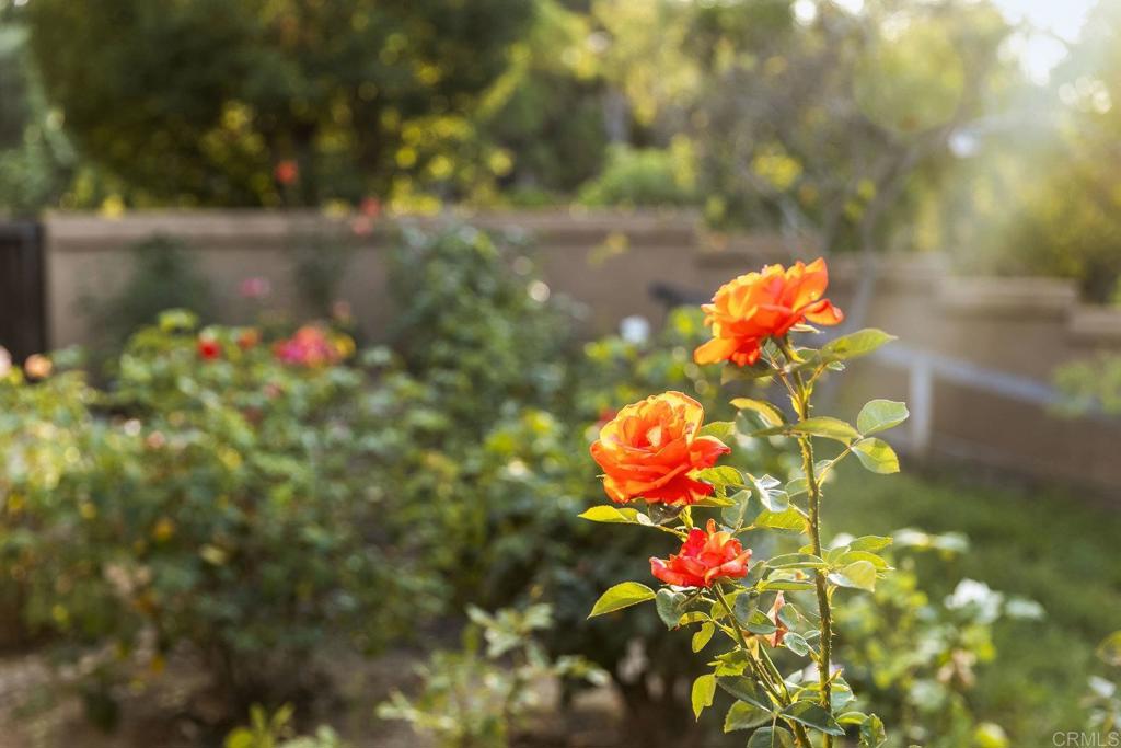 30663 Via Maria Elena