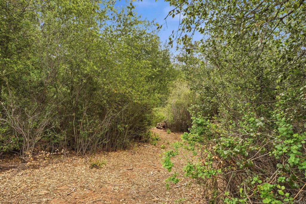 5867 Forest Meadow Road