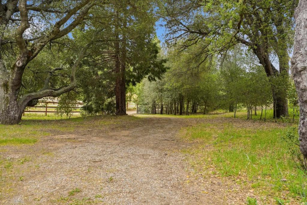 5867 Forest Meadow Road