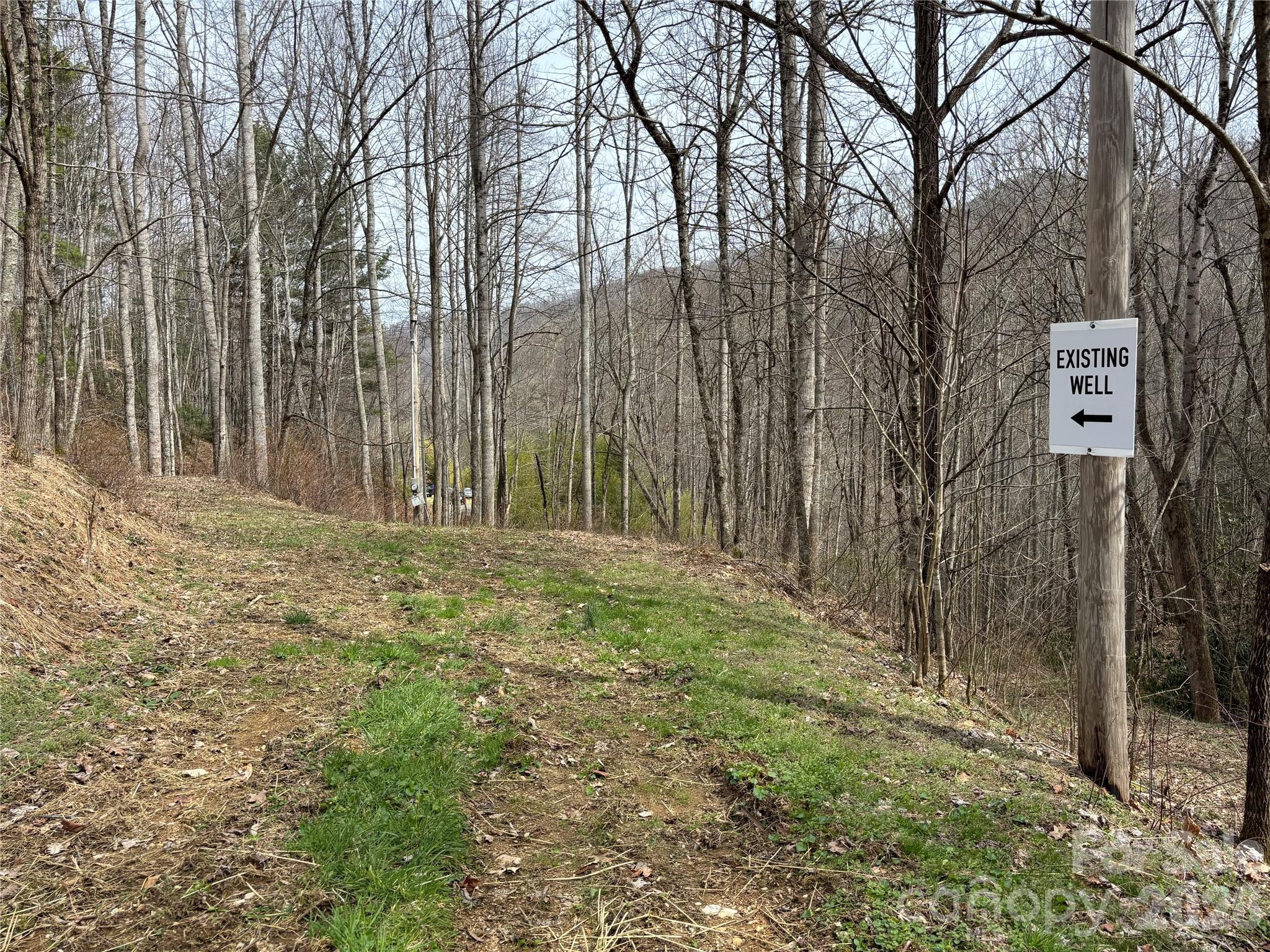 (South Lot) Meadow Fork Road