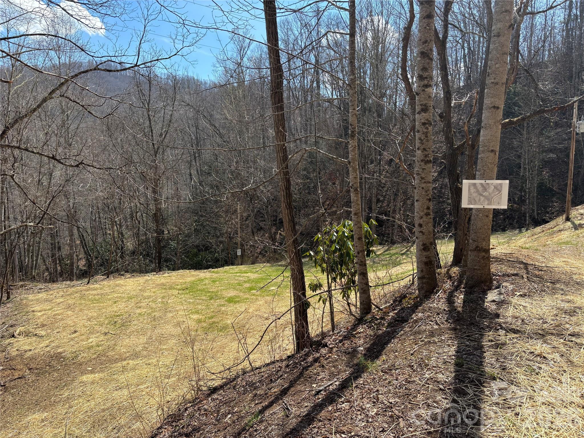 (South Lot) Meadow Fork Road