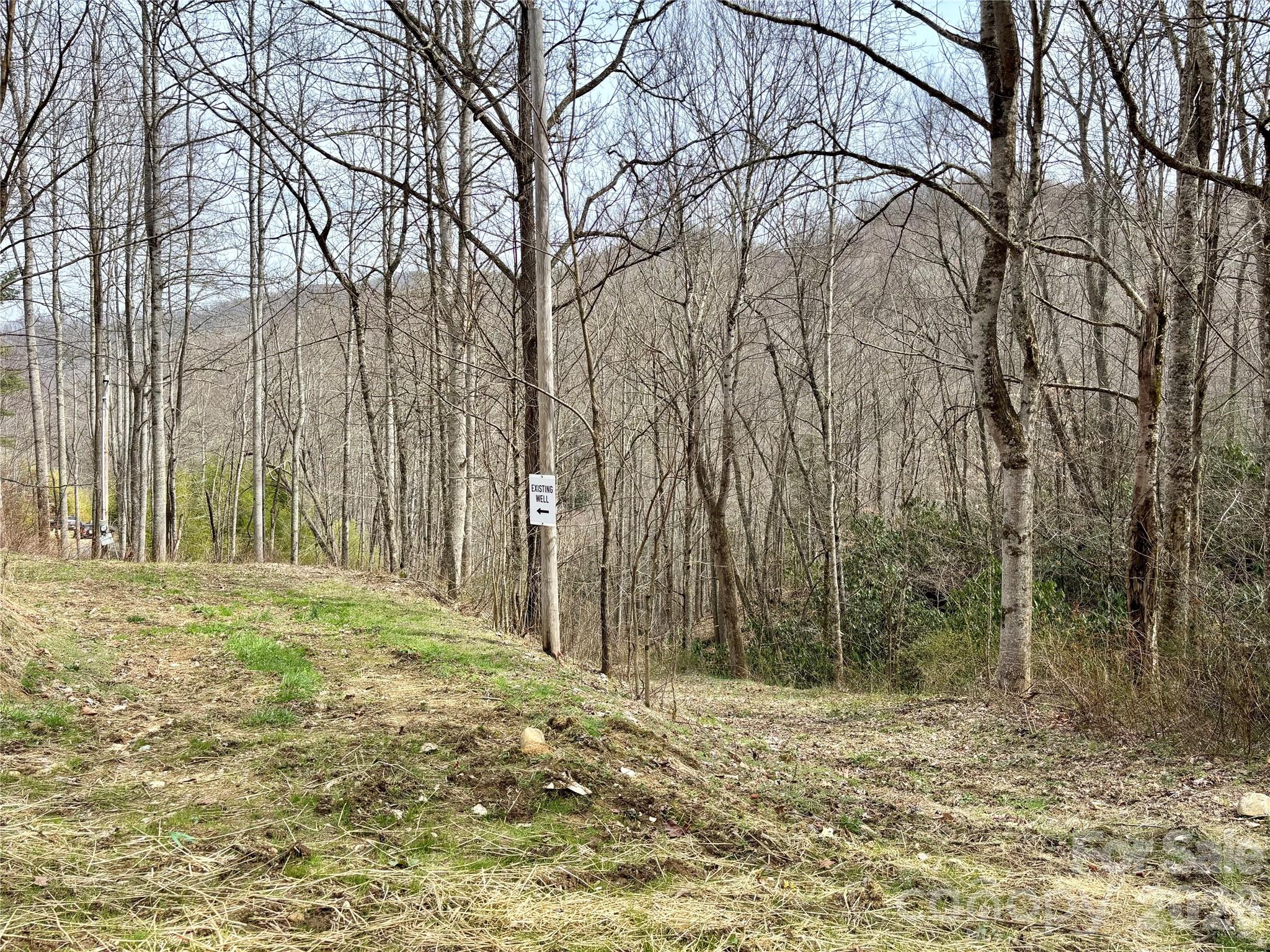 (South Lot) Meadow Fork Road