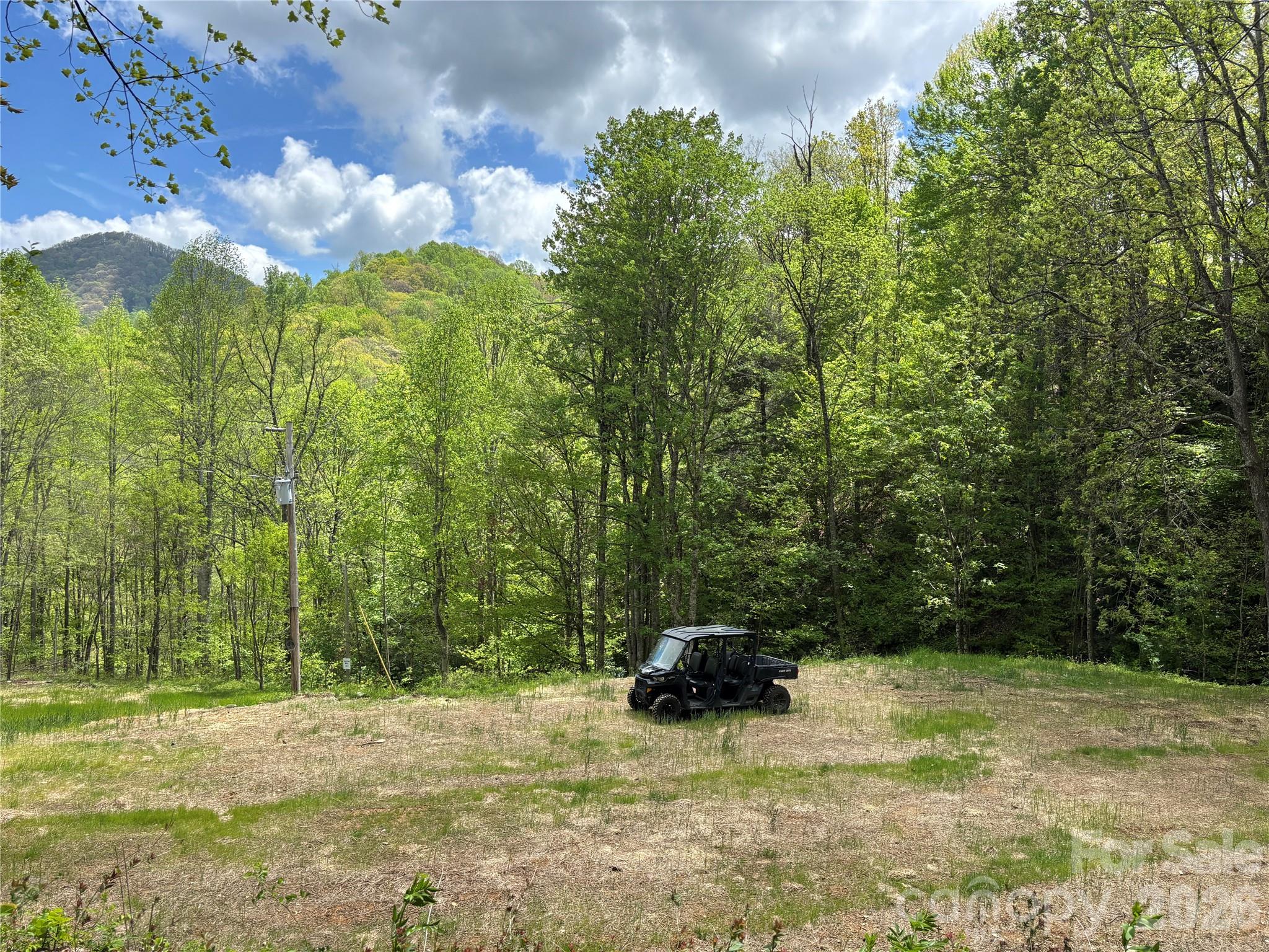 (South Lot) Meadow Fork Road