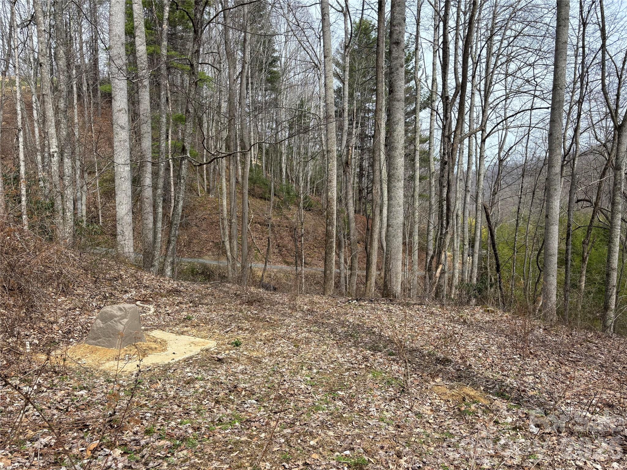 (South Lot) Meadow Fork Road