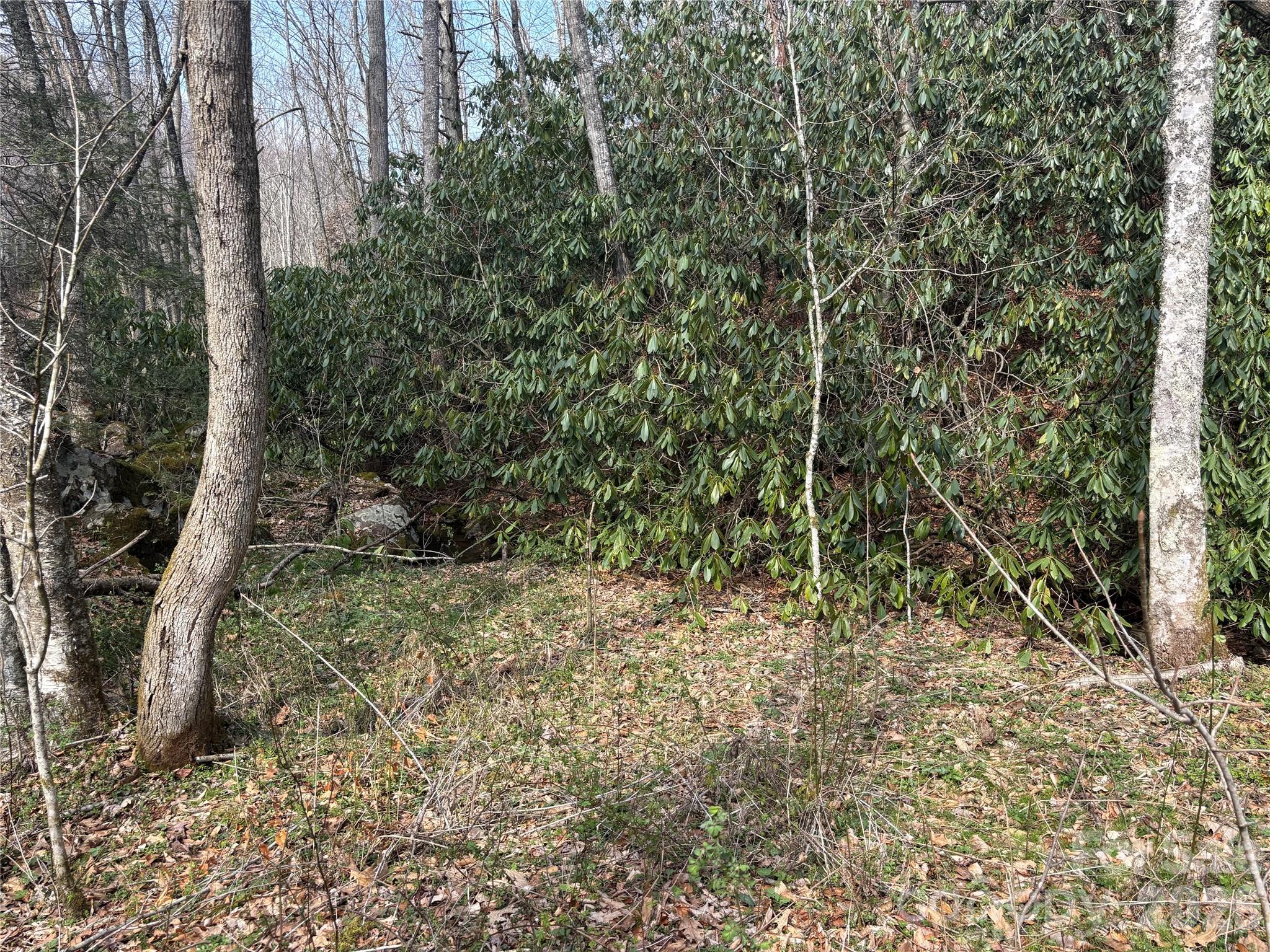 (South Lot) Meadow Fork Road