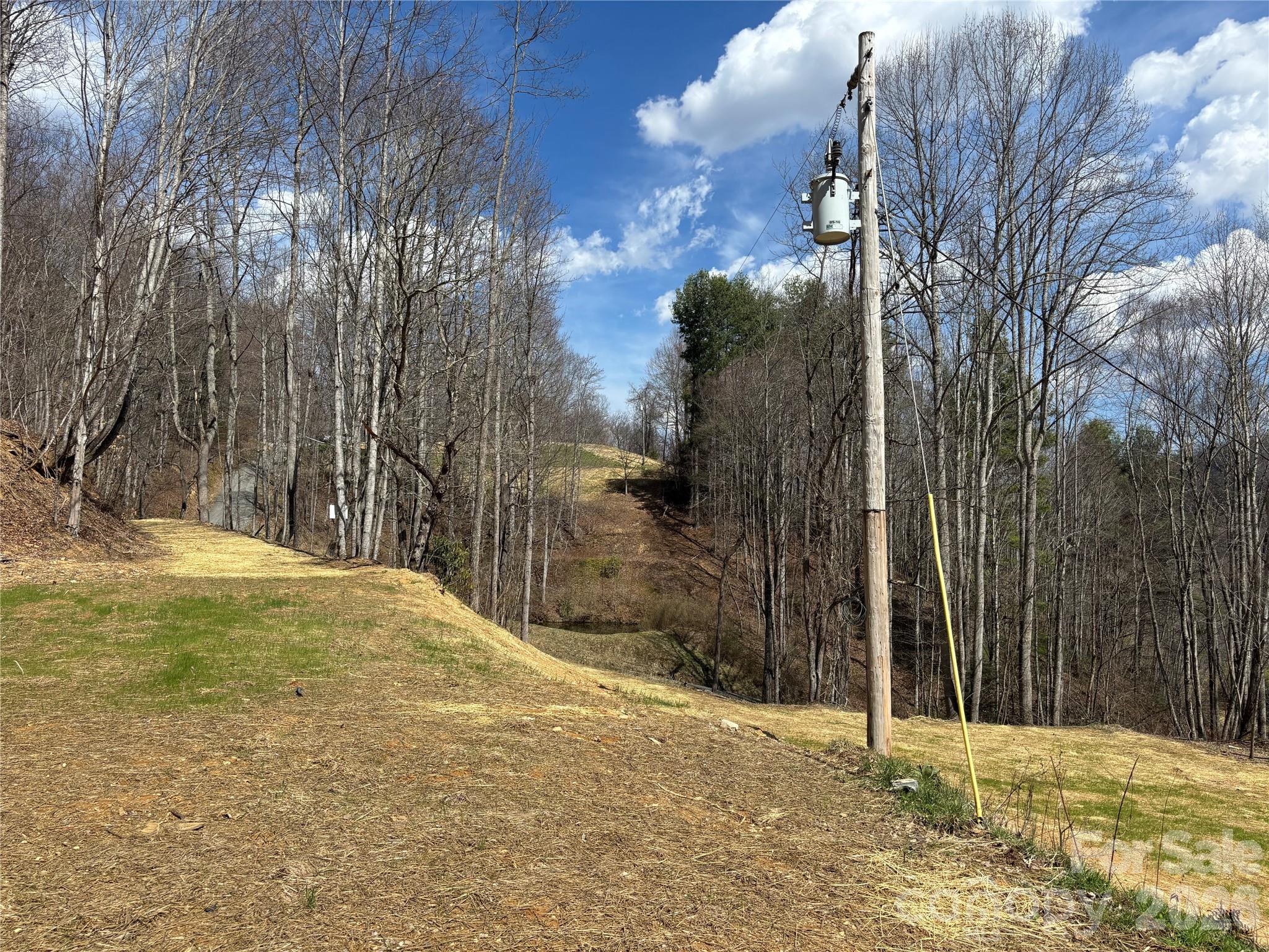 (South Lot) Meadow Fork Road