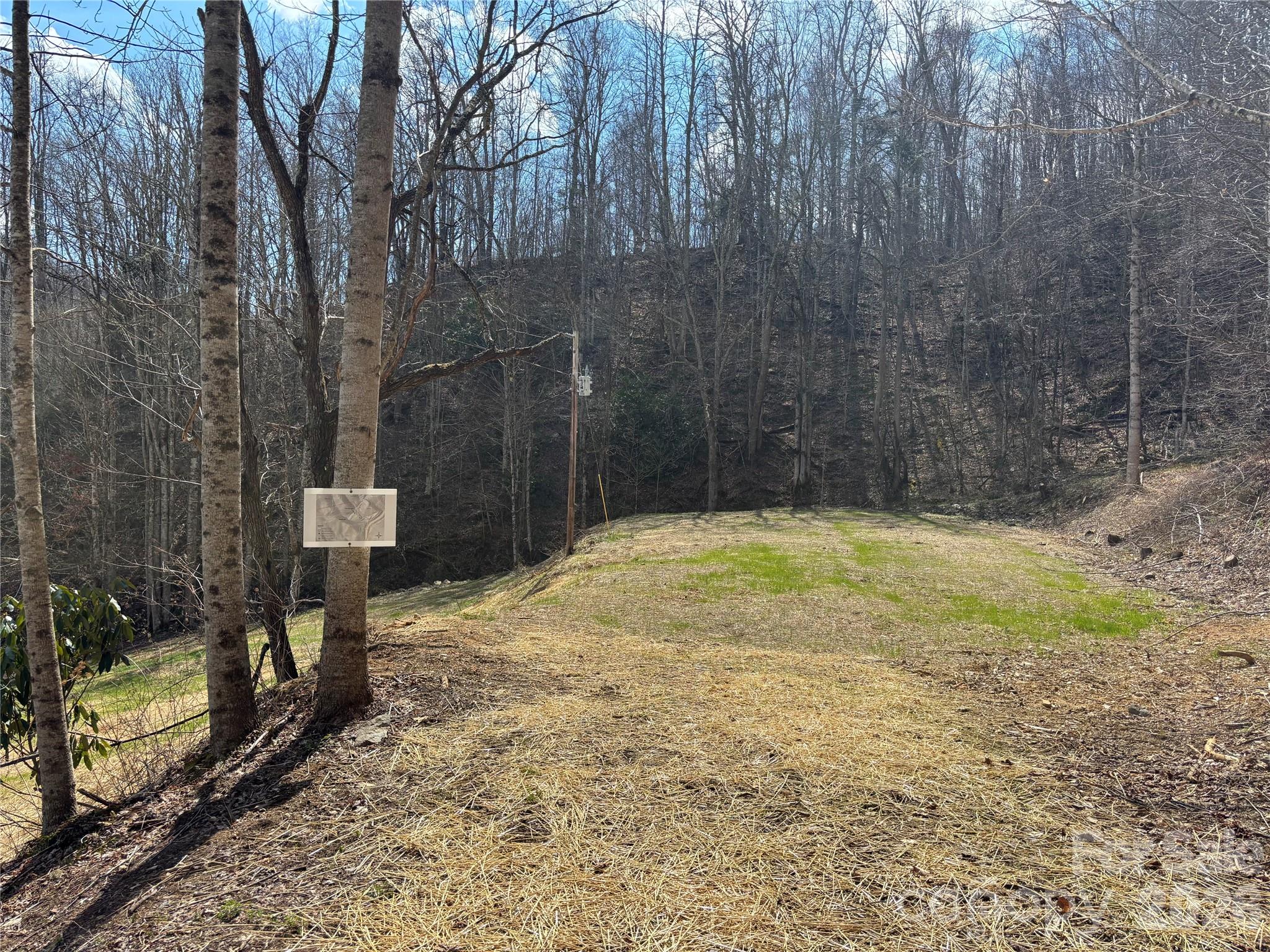 (South Lot) Meadow Fork Road