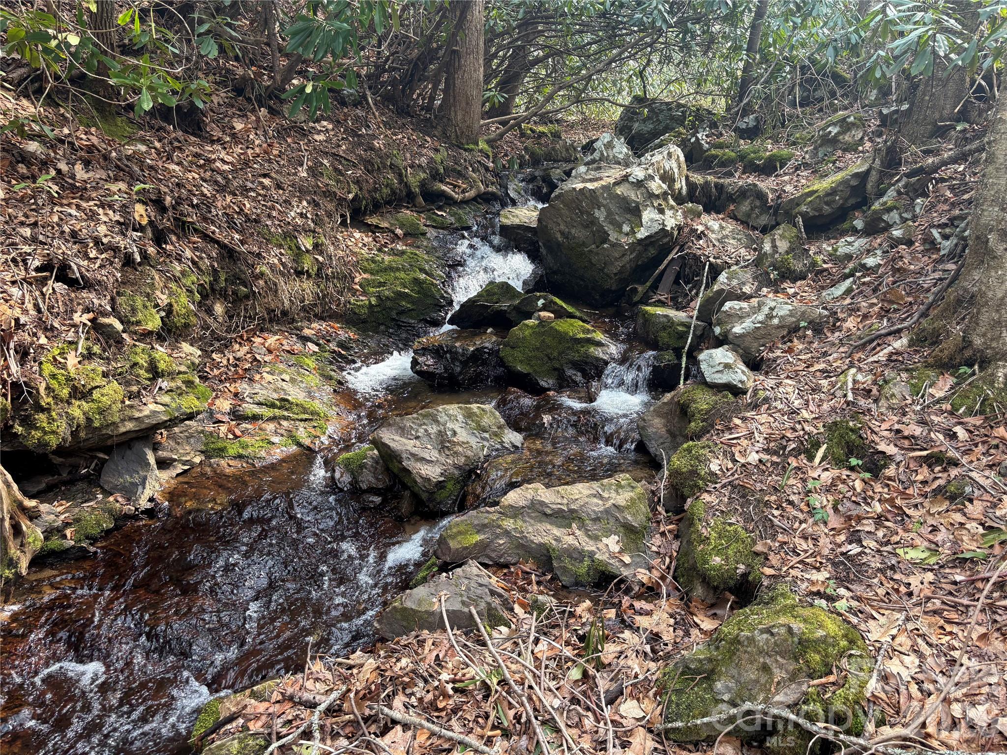 (South Lot) Meadow Fork Road