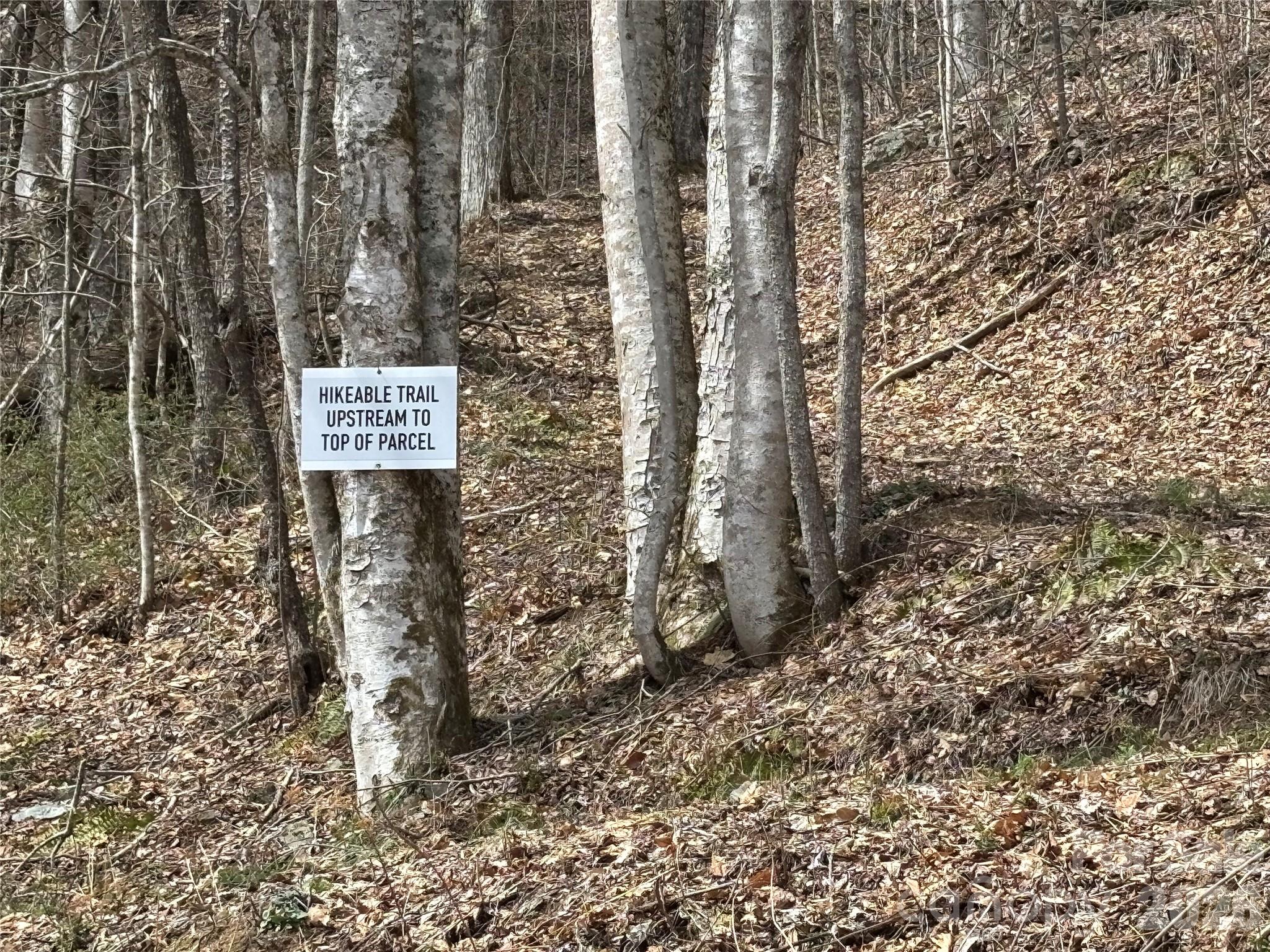 (South Lot) Meadow Fork Road
