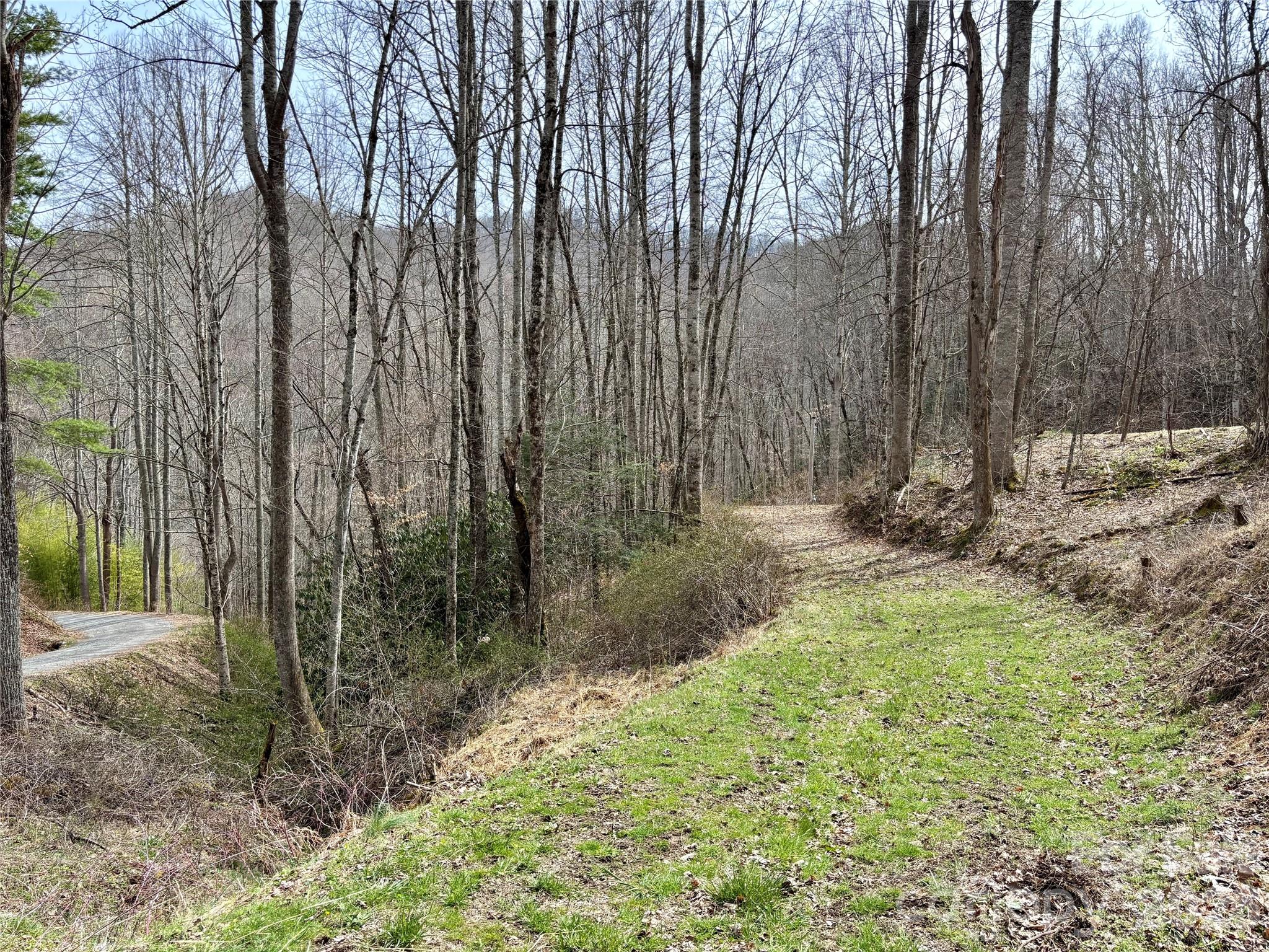 (South Lot) Meadow Fork Road