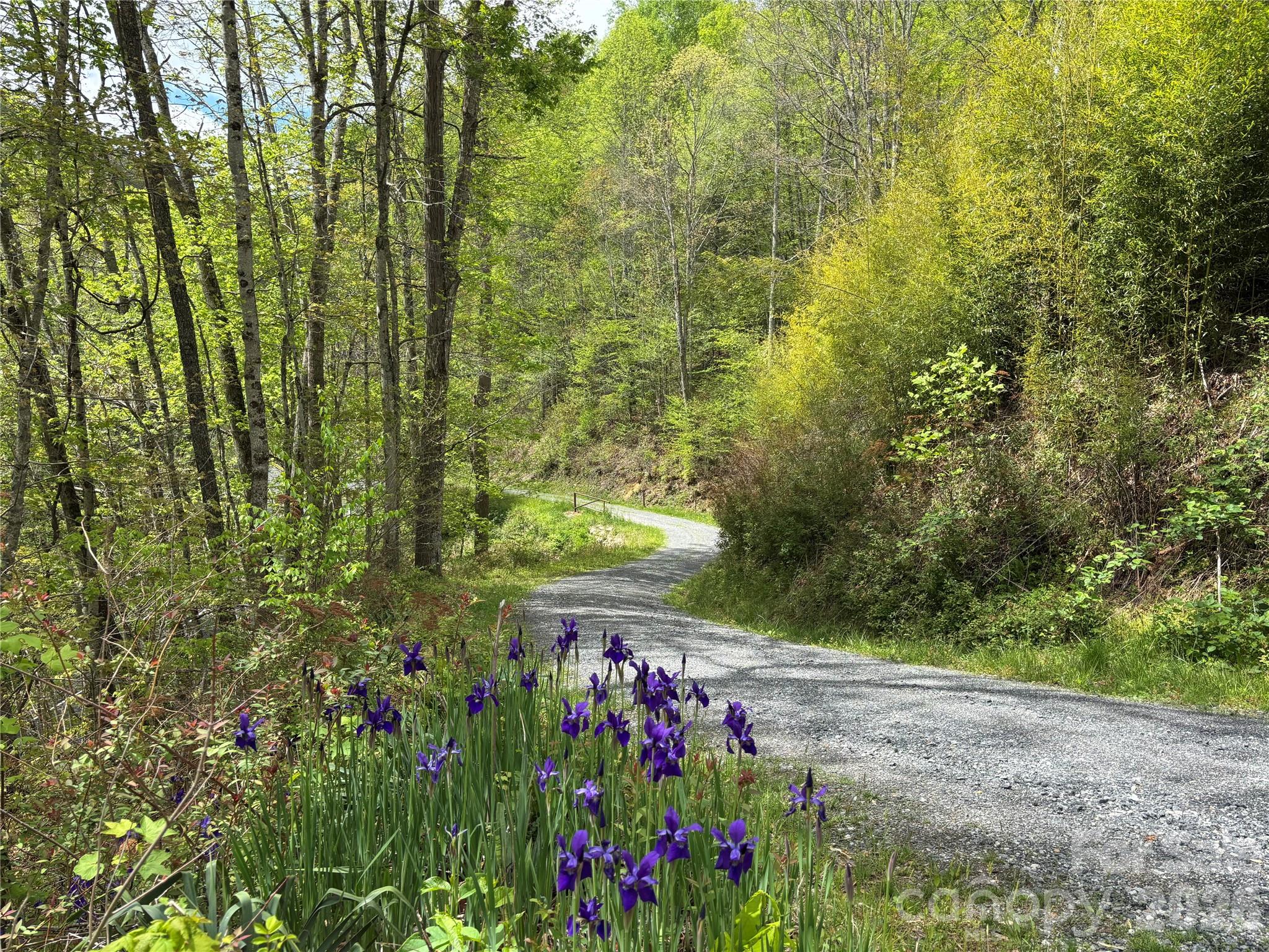 (South Lot) Meadow Fork Road