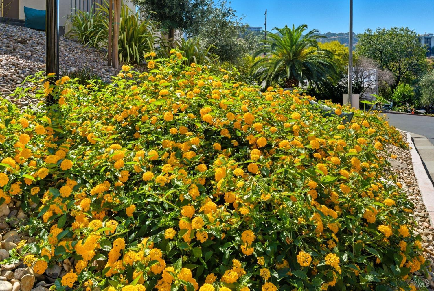 100 Marin Center Dr #21