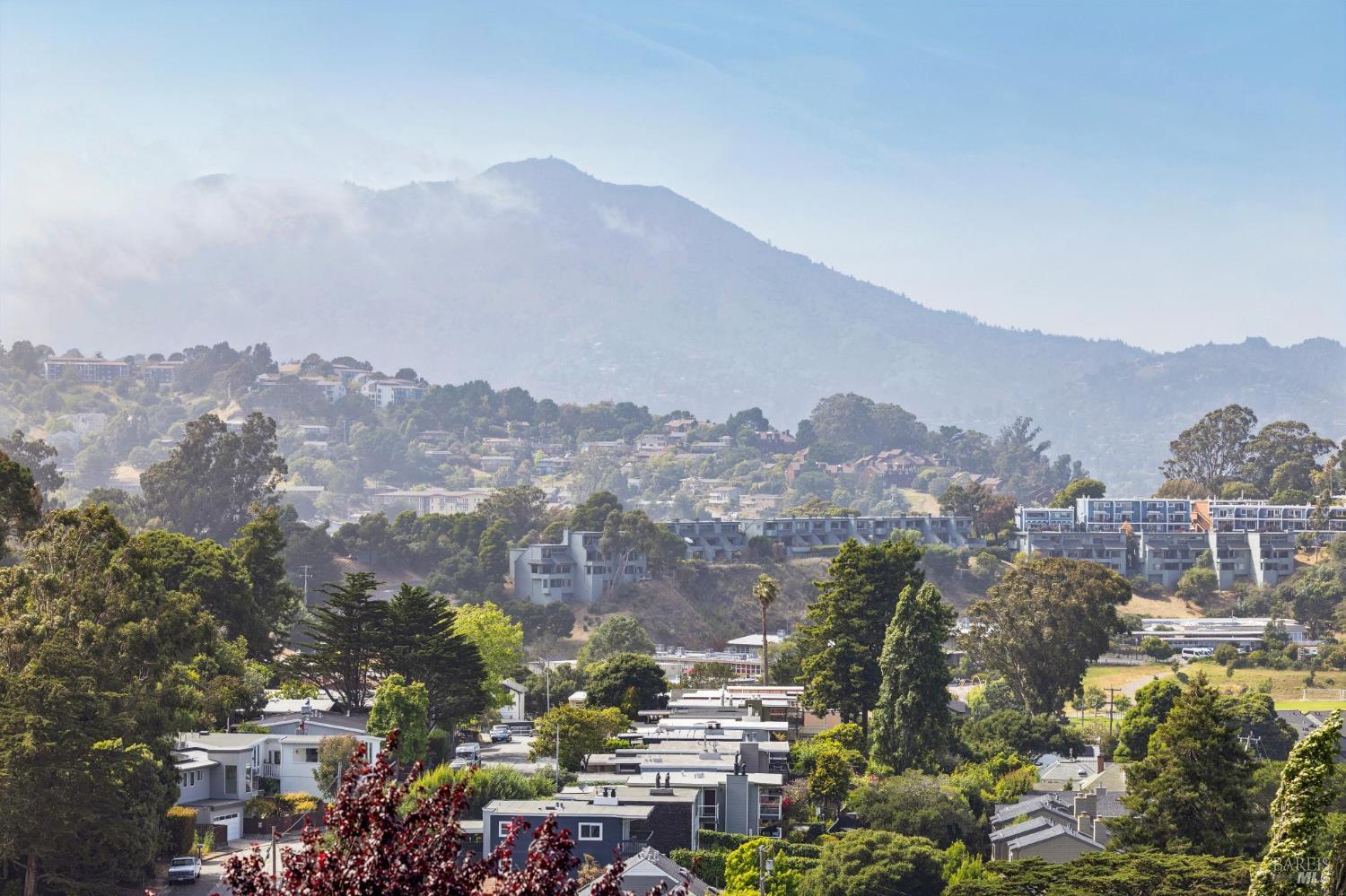 51 Marin Avenue