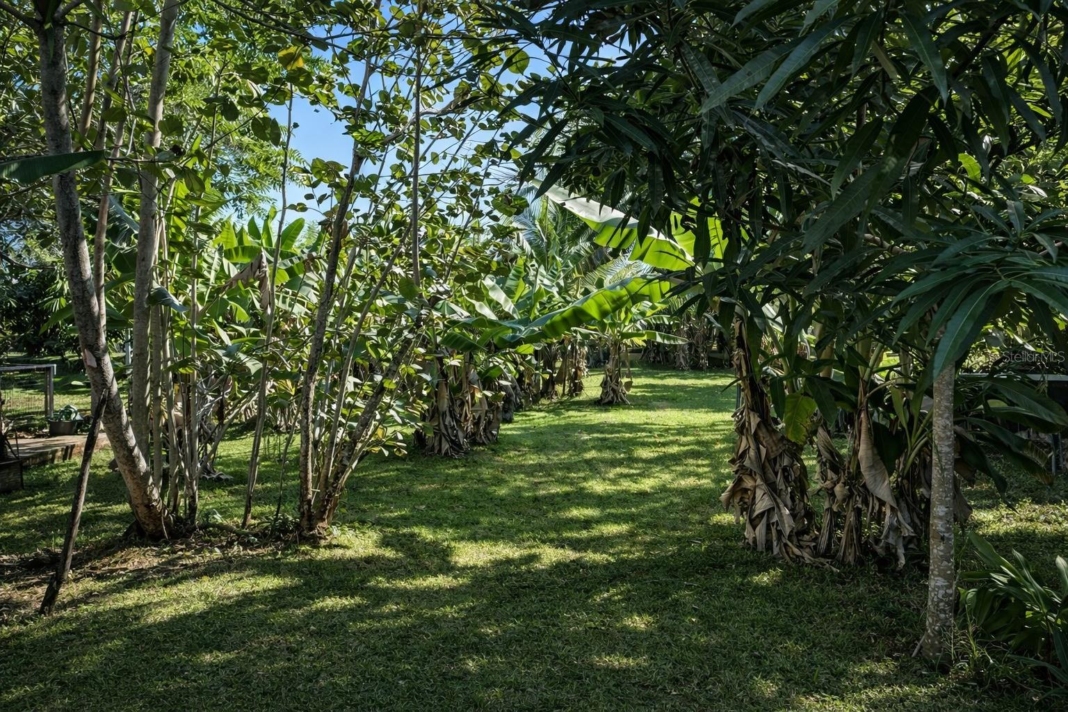 Carr. 483. Km 2.0 SAN ANTONIO