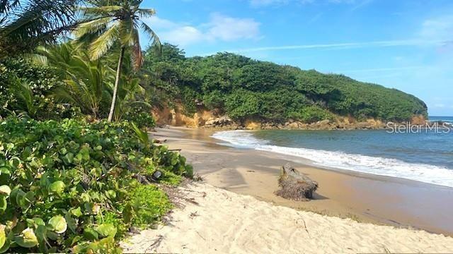 Tropical beach with palm trees, pale sand, gentle surf, and a forested headland.