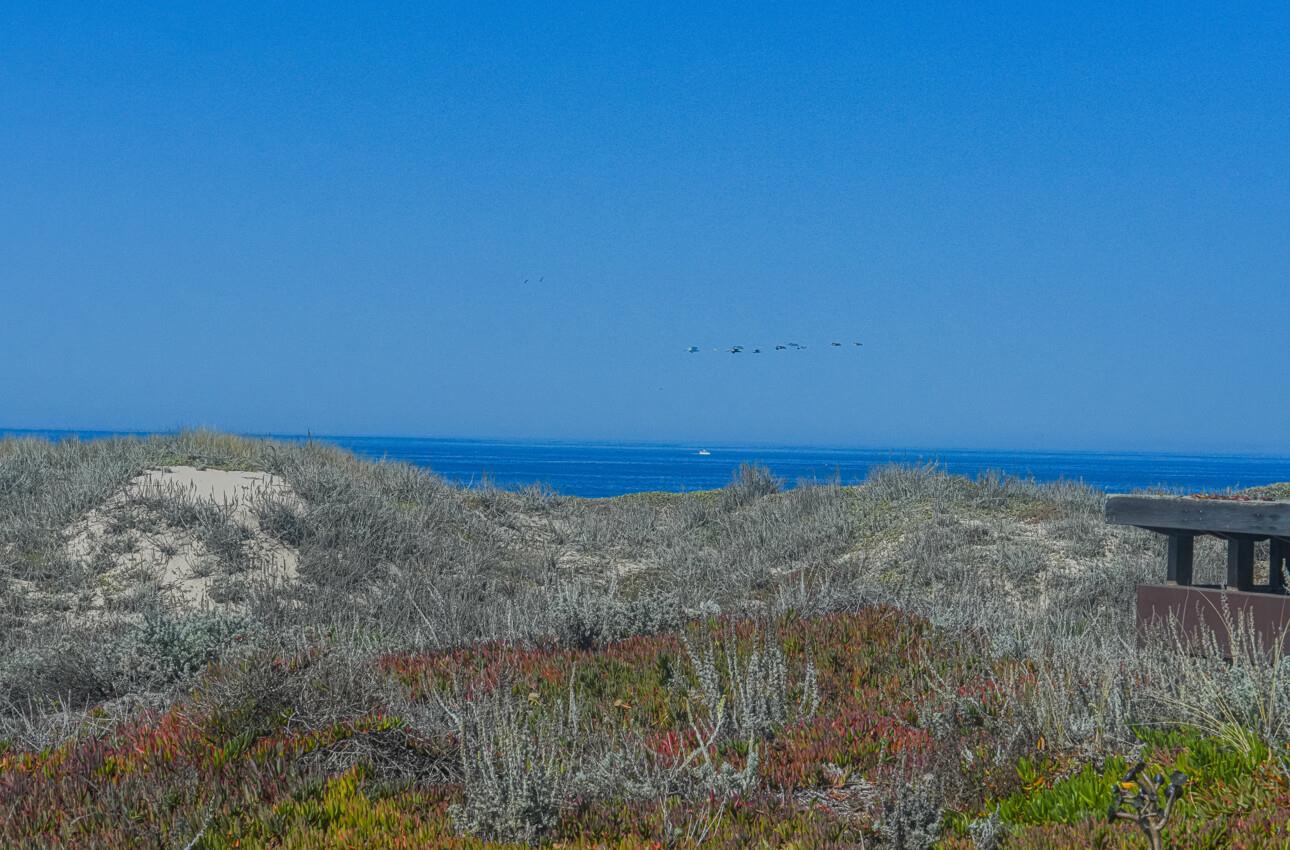 150 Monterey Dunes WAY