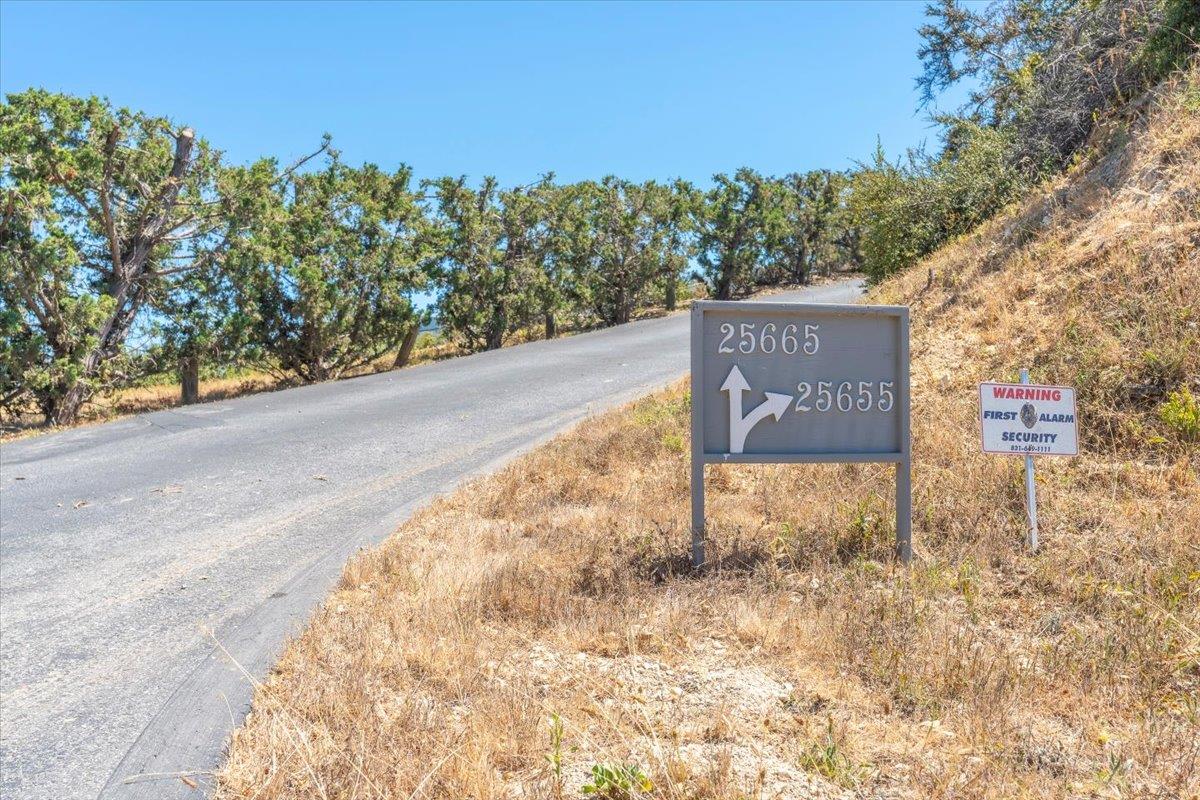 25655 Tierra Grande DR