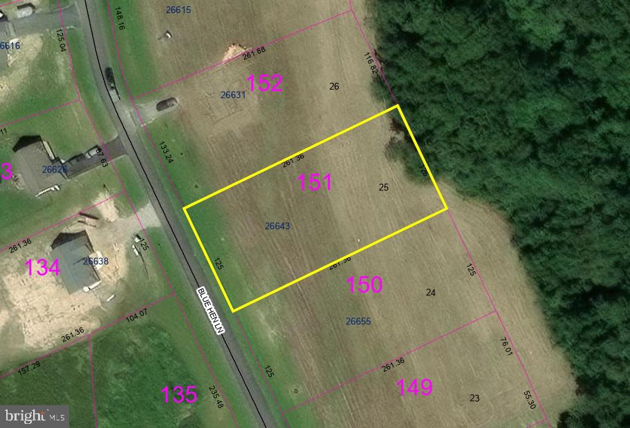 26643 BLUE HEN LANE Unit: LOT 25