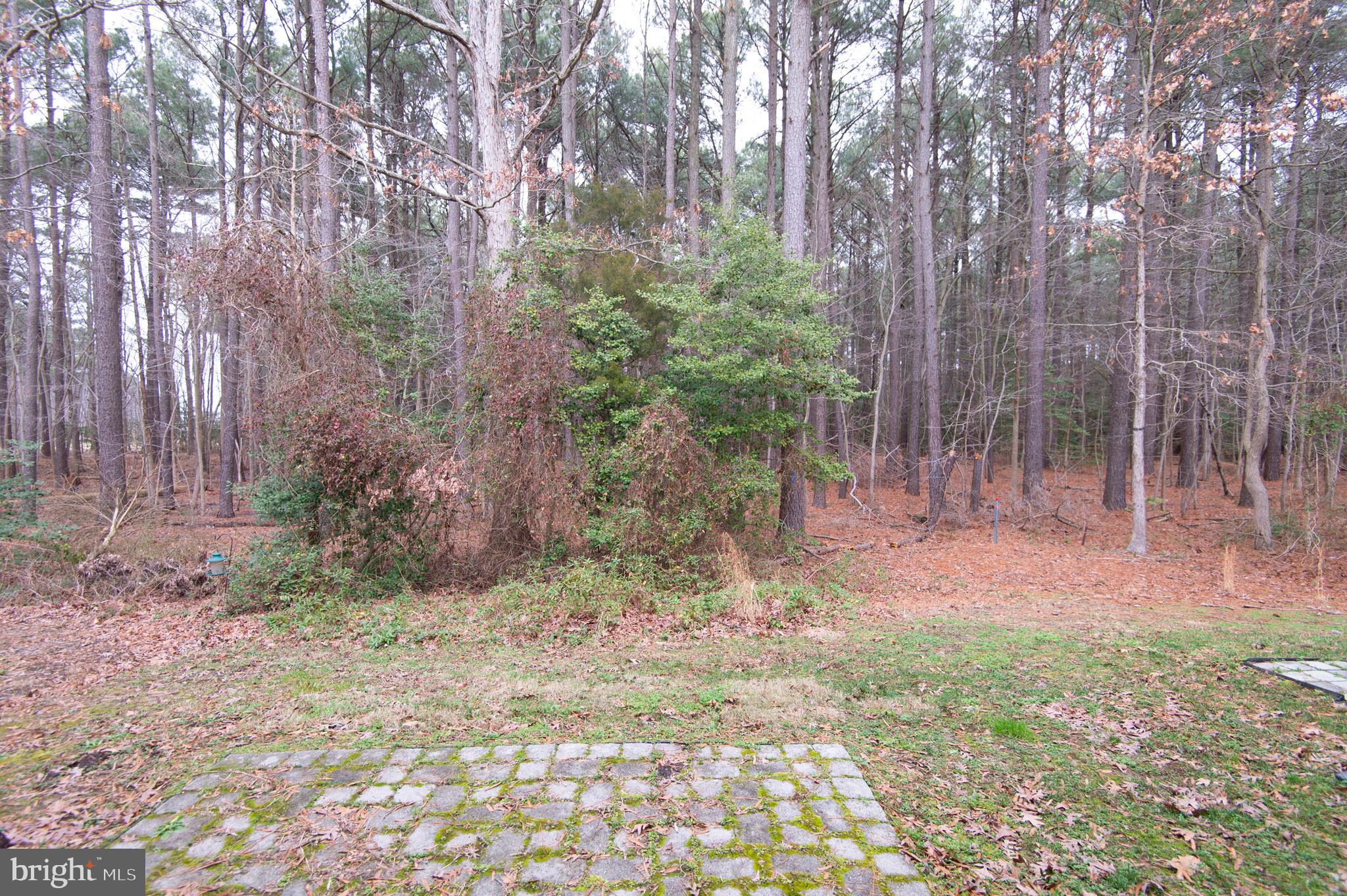 114 BLACK DUCK COURT