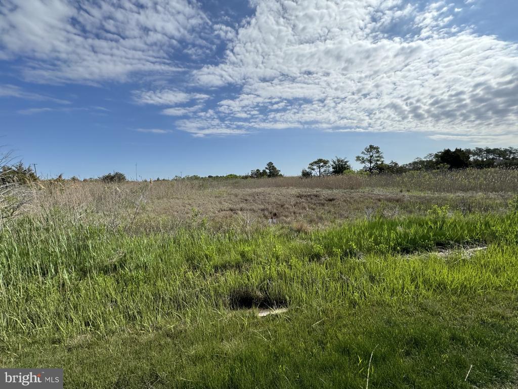 FARM CREEK