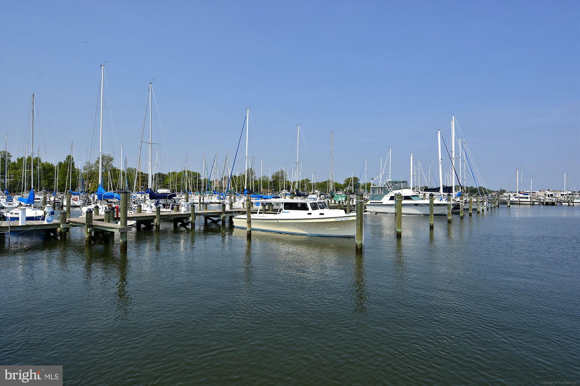 909 WOOD DUCK DRIVE