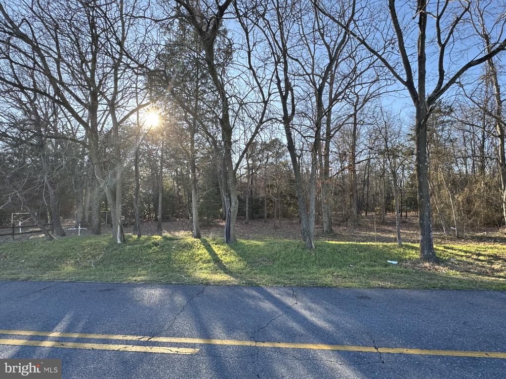 WILLIAMSBURG ROAD