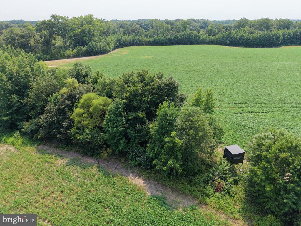 BEAVER NECK VILLAGE ROAD