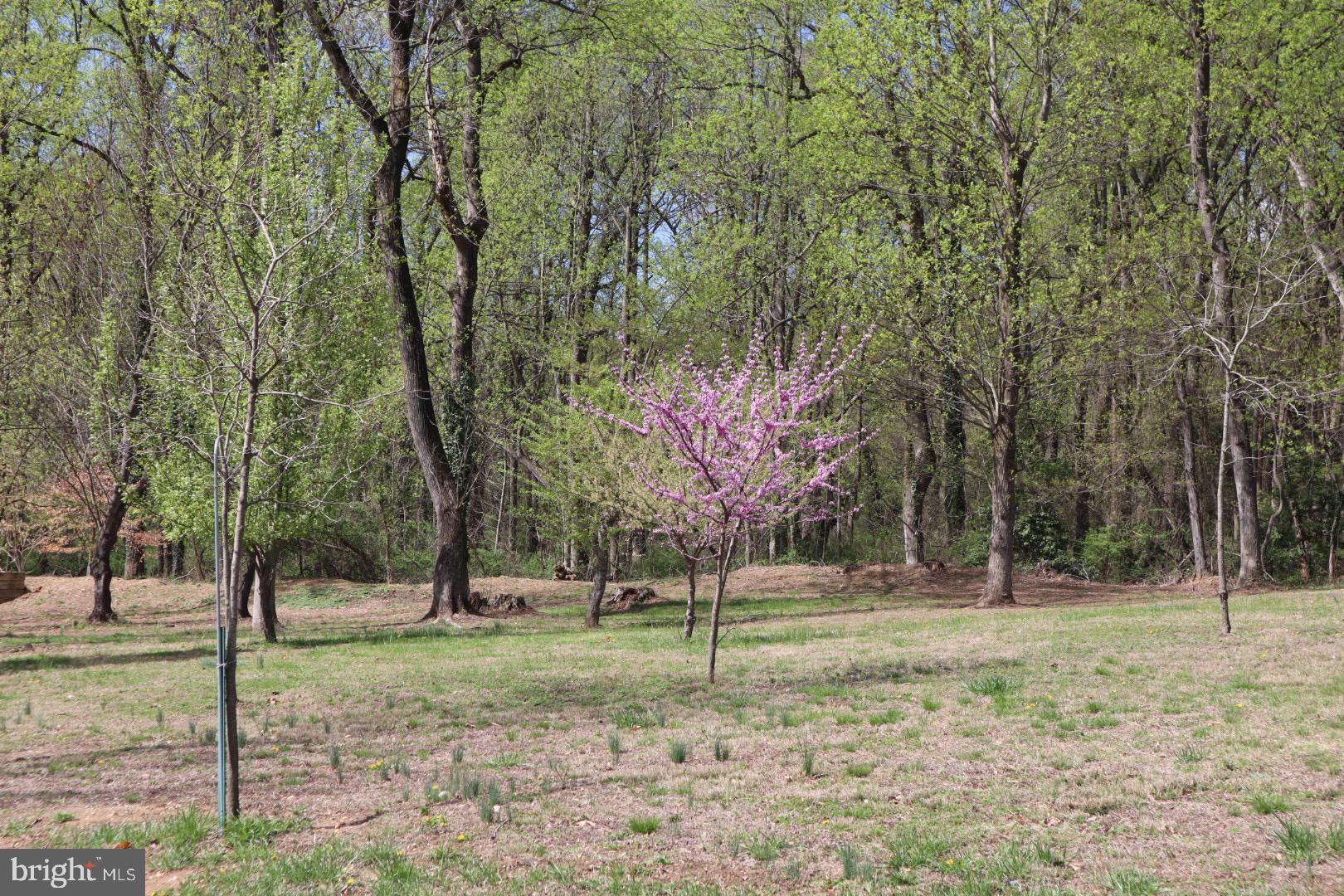 21 6TH AVENUE