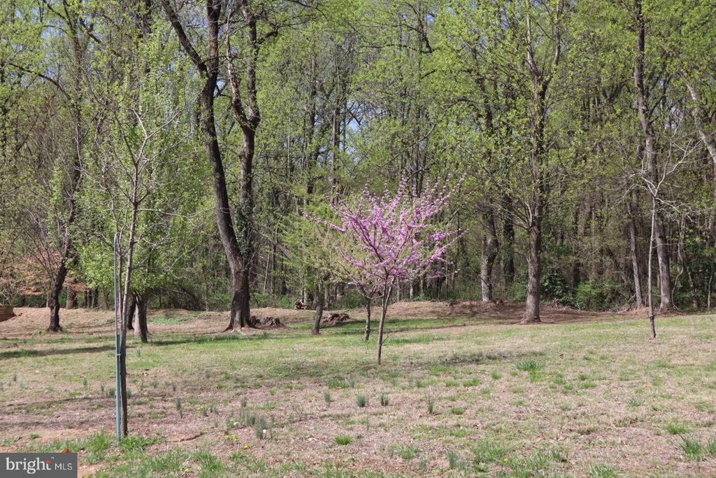 21 6TH AVENUE