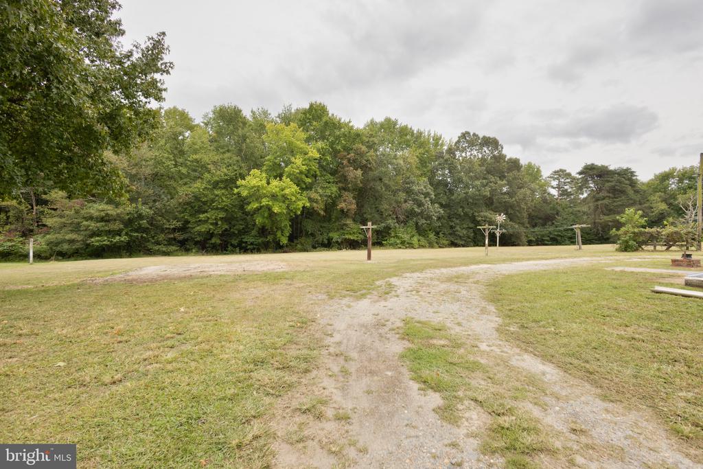 305 PINE TREE ROAD