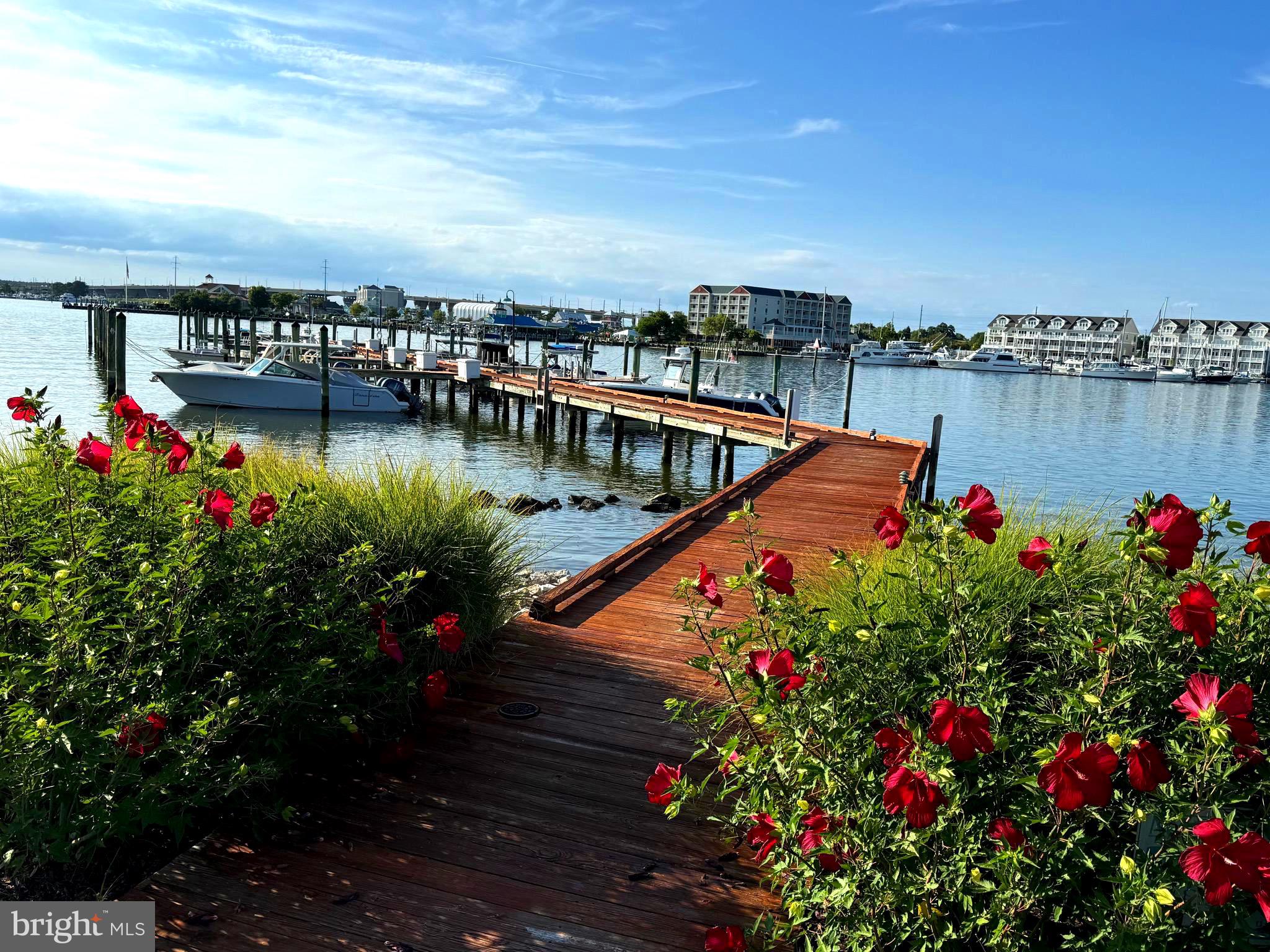 1301 OYSTER COVE DRIVE