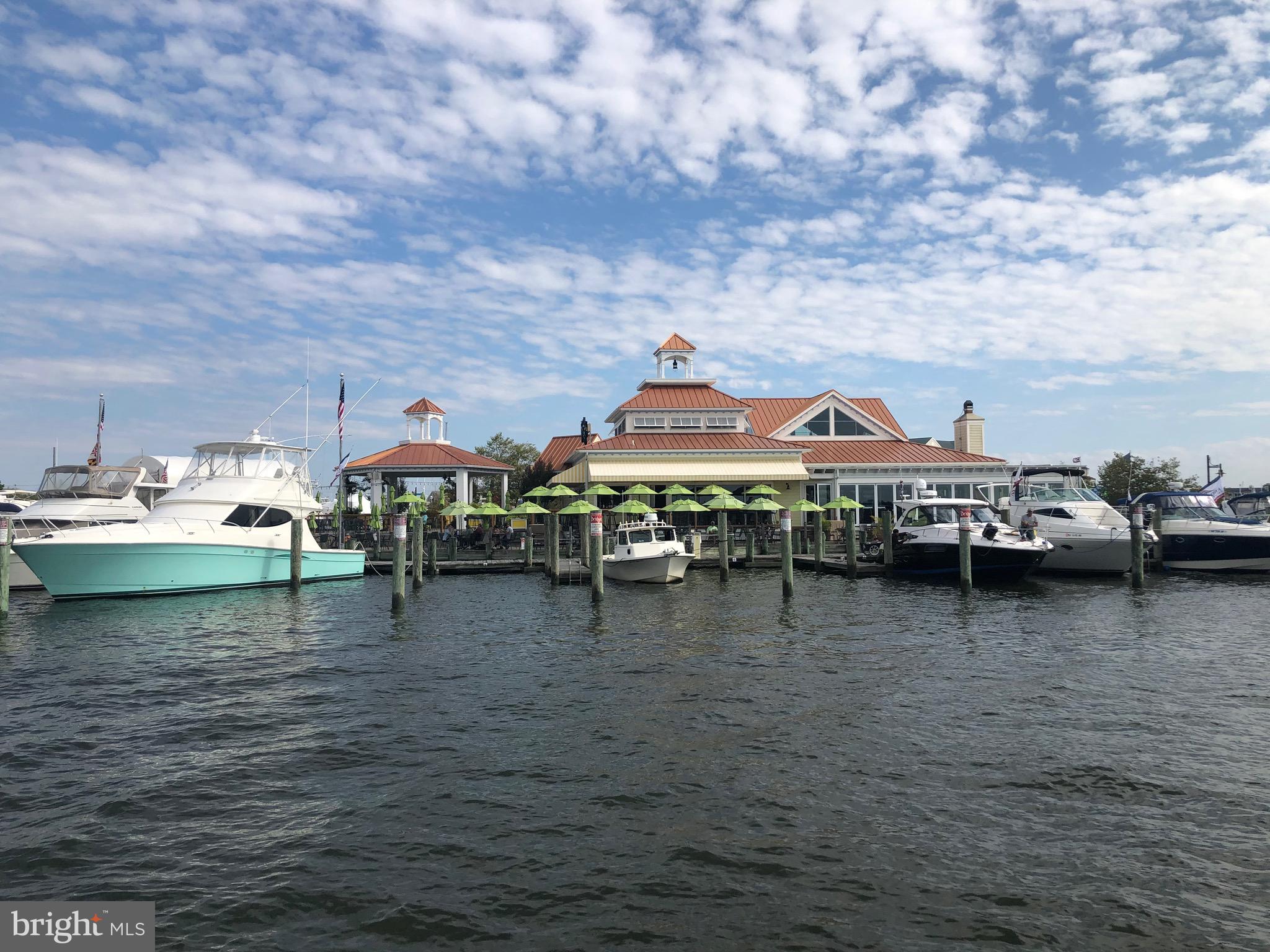 1301 OYSTER COVE DRIVE