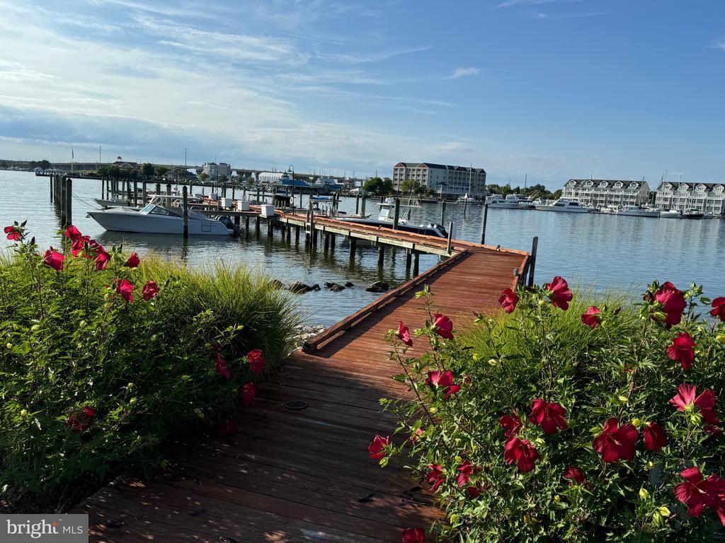1301 OYSTER COVE DRIVE