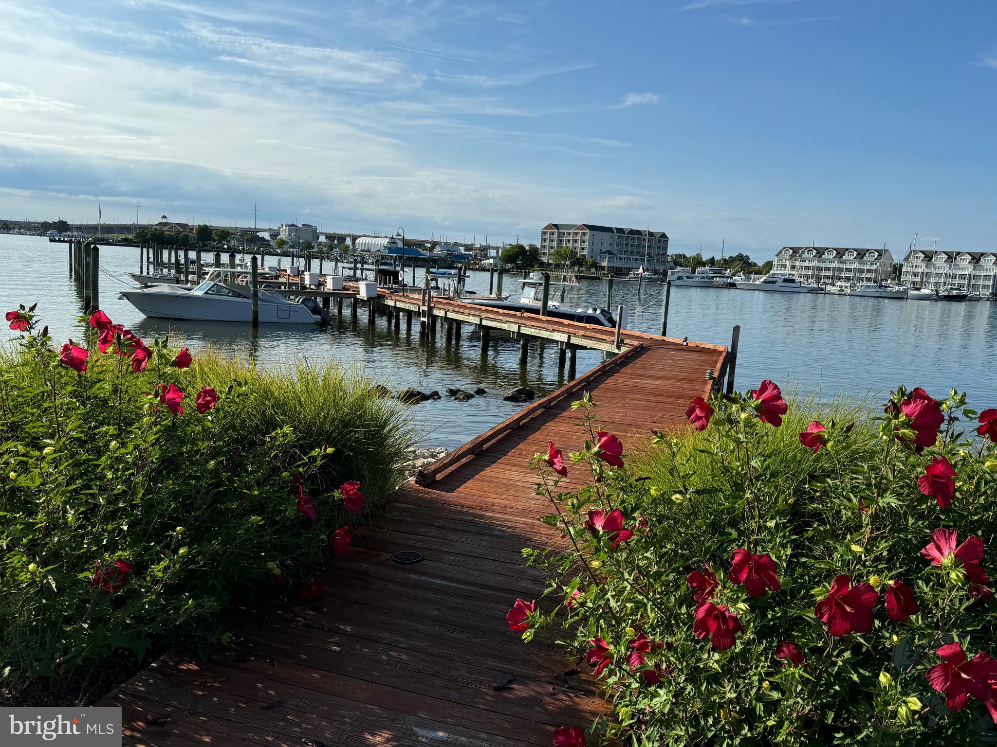 1301 OYSTER COVE DRIVE