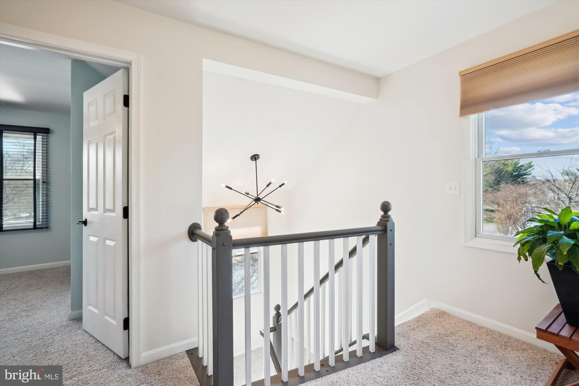 202 RINGNECK COURT