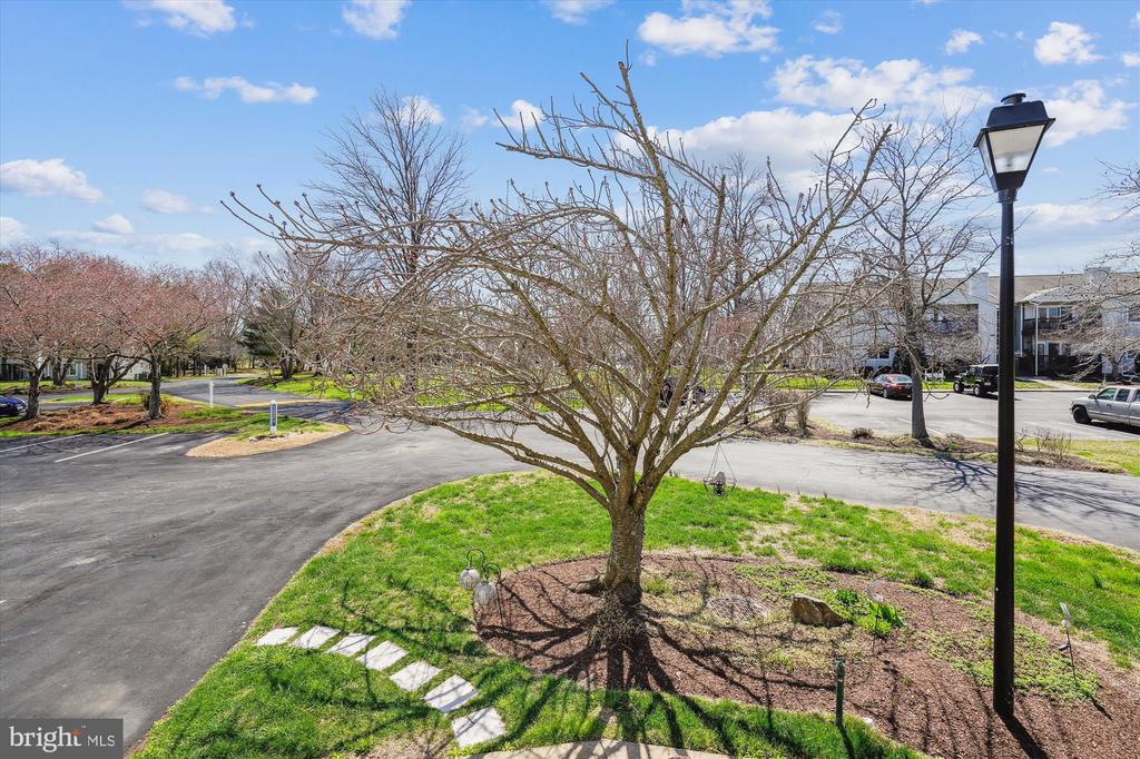 202 RINGNECK COURT