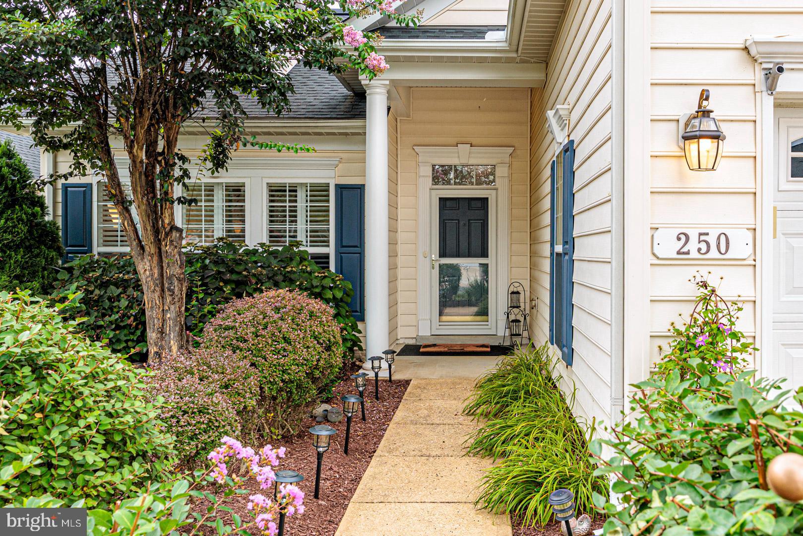 250 CONCERTO AVENUE