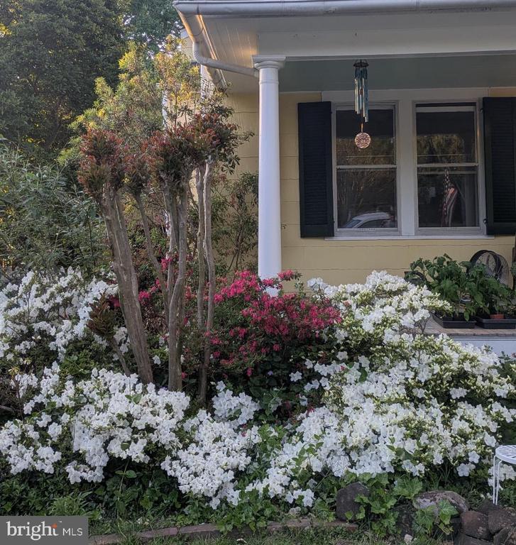 104 WINDSOR AVENUE