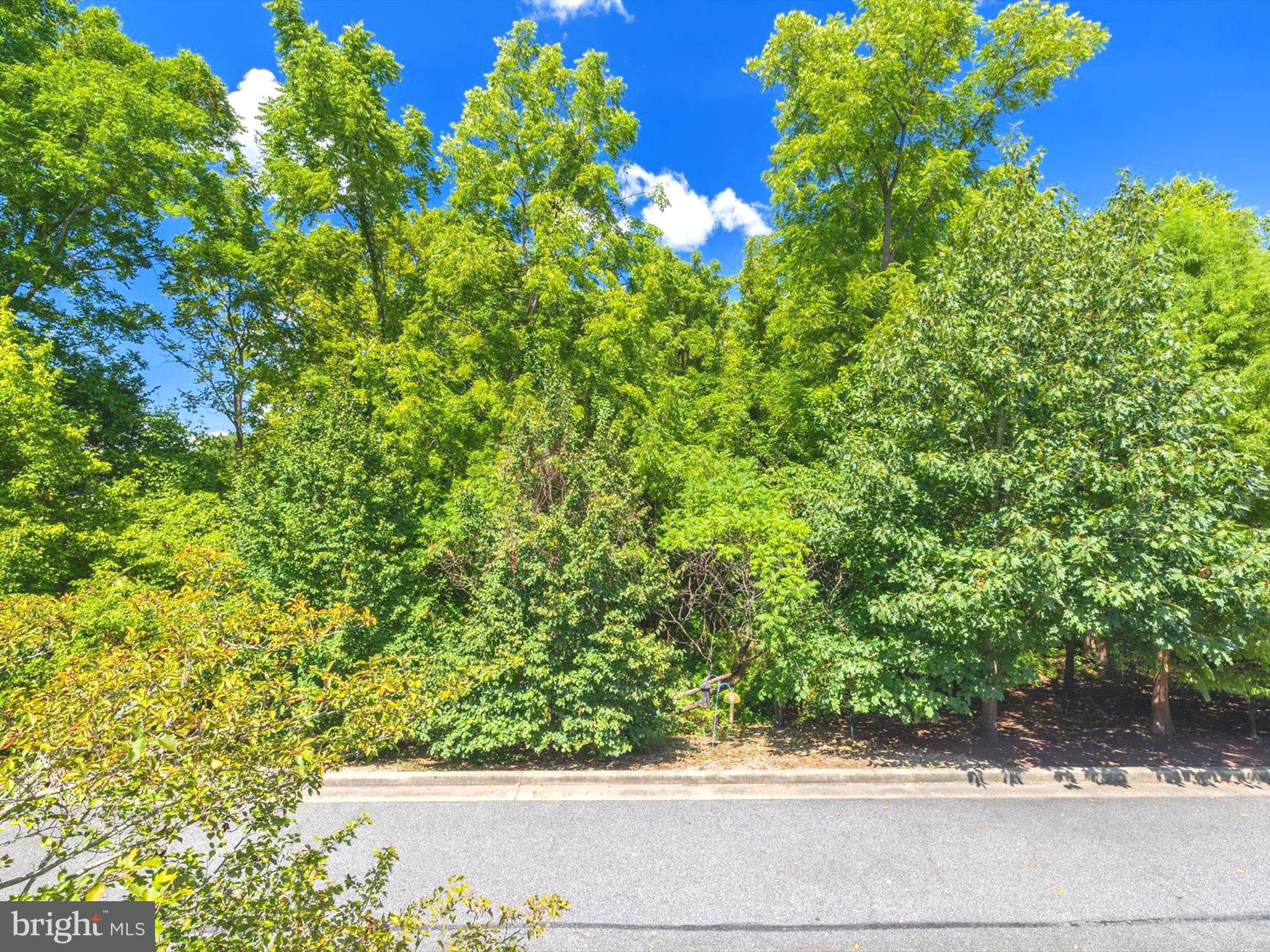 300 DIXON STREET 504