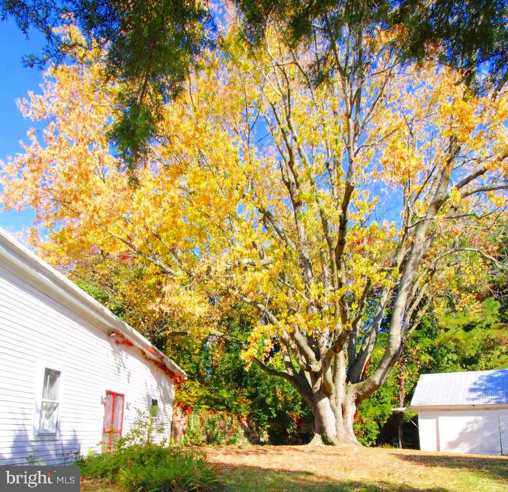 7683 TILGHMAN ISLAND ROAD