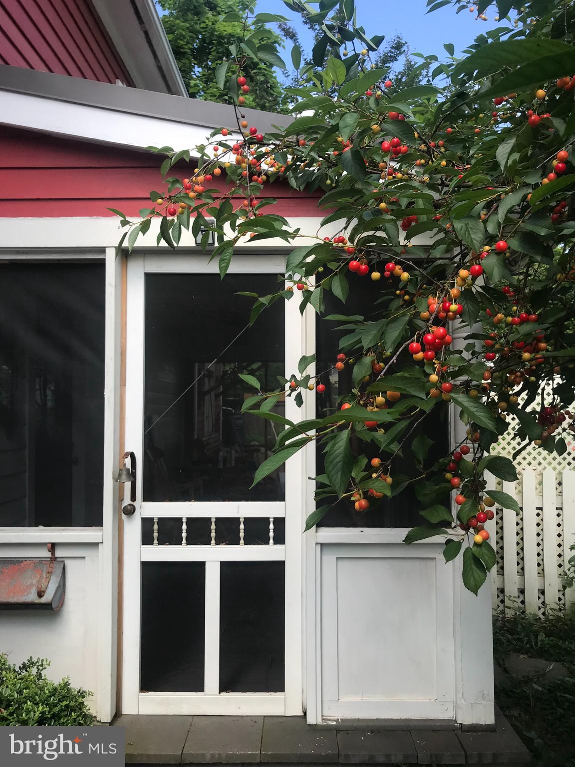 11 N HIGGINS STREET