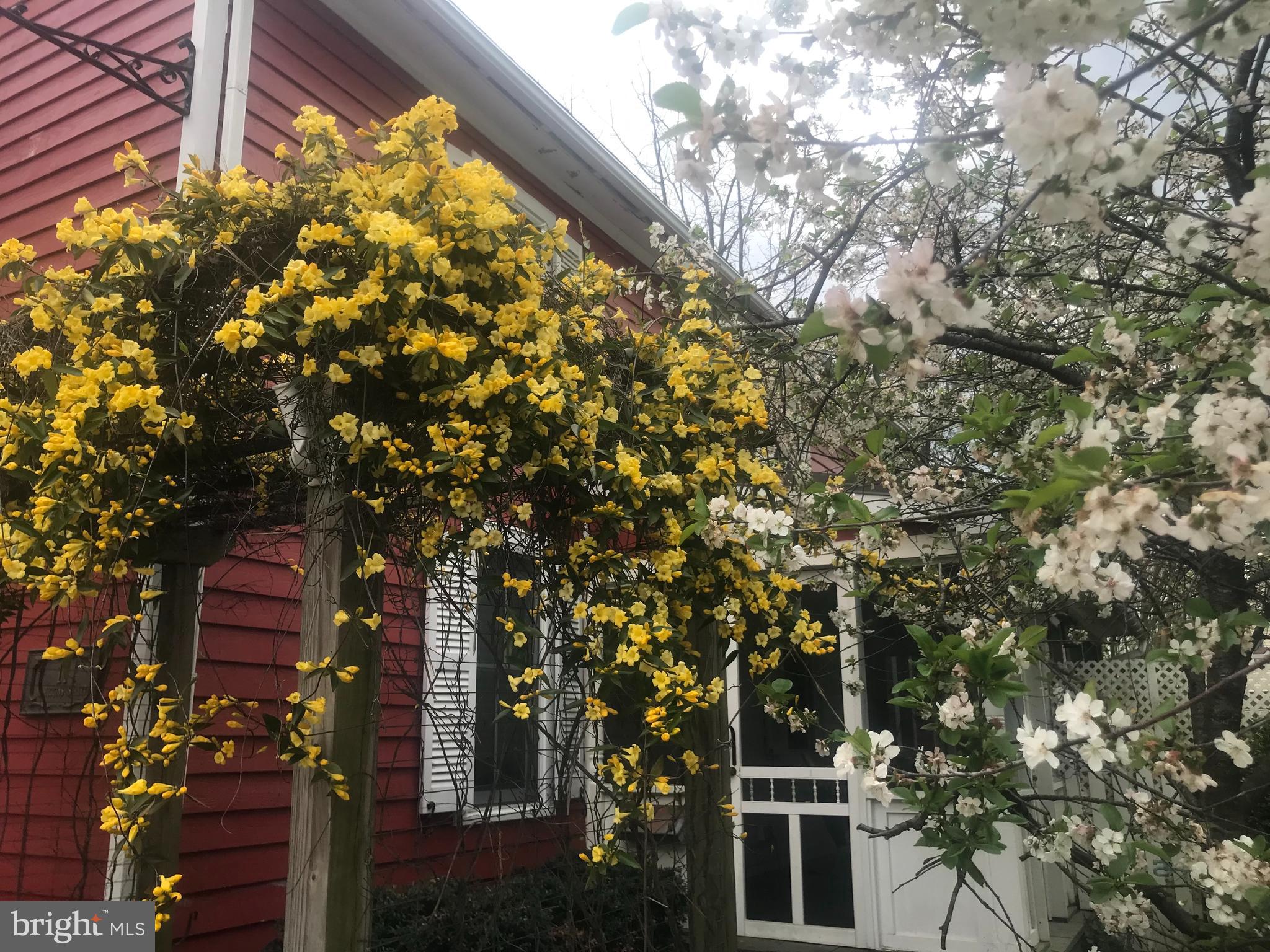11 N HIGGINS STREET