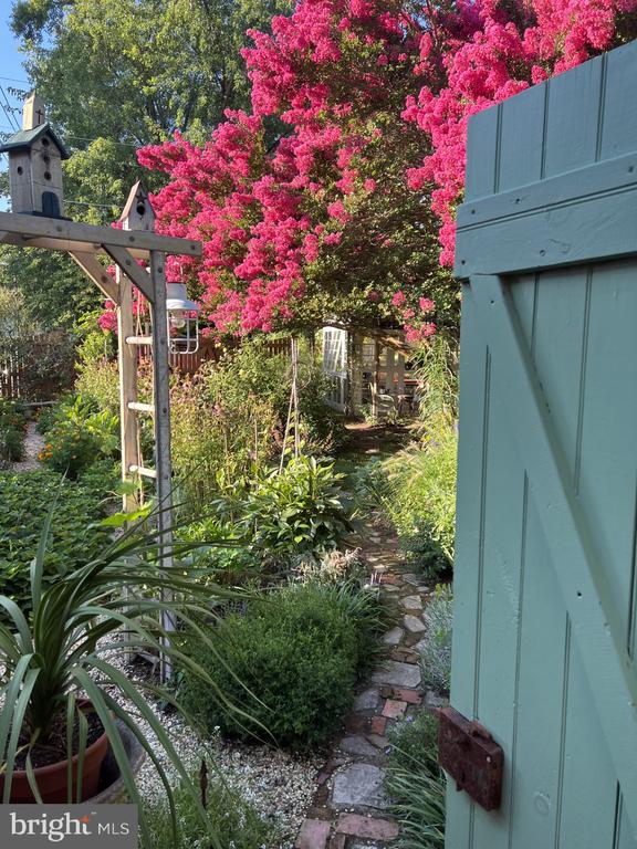 524 GOLDSBOROUGH STREET